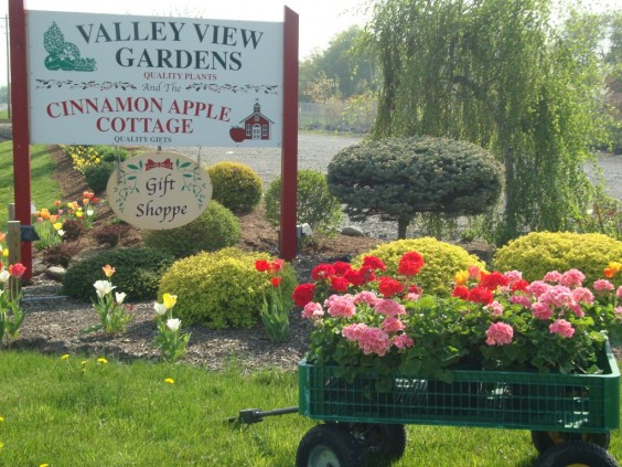 Valley View Gardens & The Cinnamon Apple Gift Cottage
