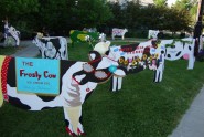 Dryden Dairy Days