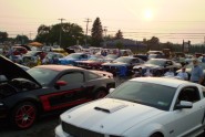 Mustang