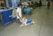 Cortland Community SPCA