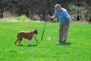 Pet Containment Systems of NY