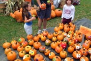 Pumpkinfest