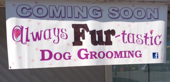 Always Fur-Tastic Dog Grooming