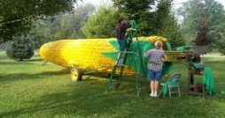 Cincy Corn Fest