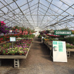Neil Casey's Farm Market & Greenhouses