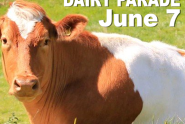 Cortland Dairy Day