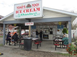 Toad's Too Ice Cream Oasis