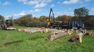 Thayer Logging
