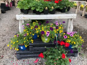 Valley View Gardens Retail Nursery