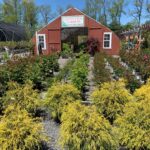 Valley View Gardens & The Cinnamon Apple Cottage Gift Shoppe