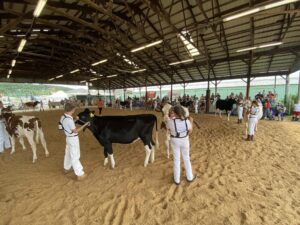 Cortland County Junior Fair
