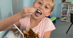 Mountainside Cones & More