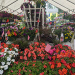 Nightingale’s Tully Lakes Hardware