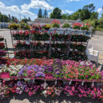 Nightingale’s Tully Lakes Hardware