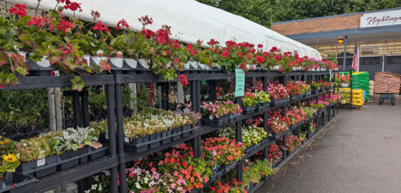 Nightingale’s Tully Lakes Hardware