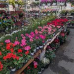 Nightingale’s Tully Lakes Hardware