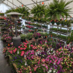 Nightingale’s Tully Lakes Hardware