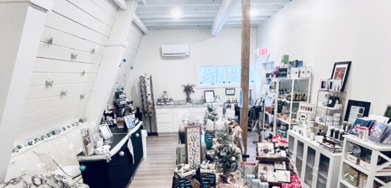 LeadWhole Coaching & Healthcare Advocacy