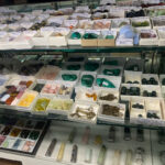 The Global Heart Healing Center