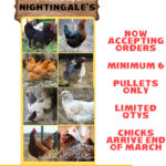 Nightingale’s Tully Lakes Hardware