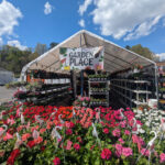 Nightingale’s Tully Lakes Hardware