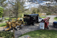 Phillips Tree Service