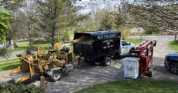Phillips Tree Service