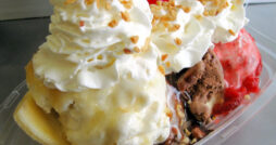 Toads Too Ice Cream Oasis