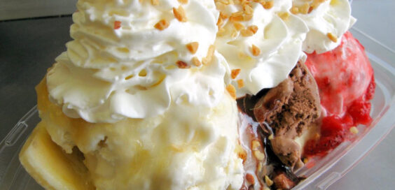 Toads Too Ice Cream Oasis