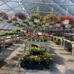 Valley View Gardens Nursery