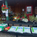 Valley View Gardens Nursery