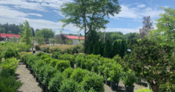 Valley View Gardens Nursery
