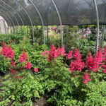 Valley View Gardens Nursery