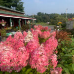 Valley View Gardens