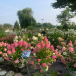 Valley View Gardens