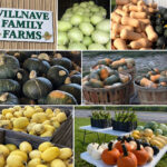 Villnave Family Farms