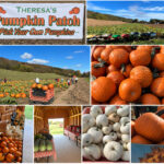 Villnave Family Farms